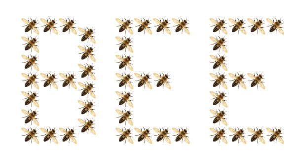 the word bee composed of many bees on the white background, honey bee or honeybee in Latin Apis Mellifera