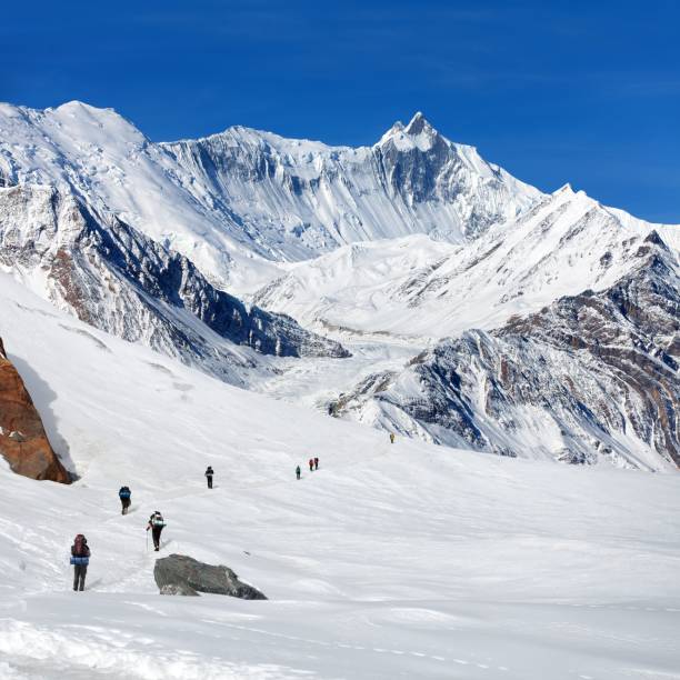 istock hikers on glacier and Mount Khangsar Kang 2190144731