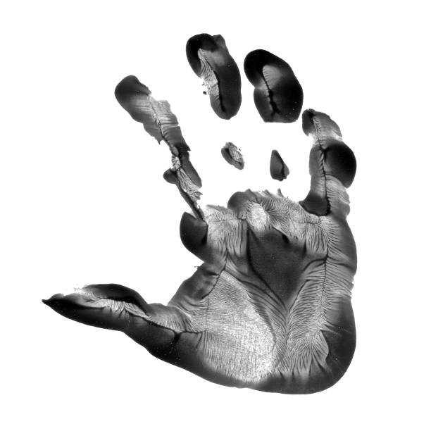 istock Kid hand prints black acrylic or ink isolated on white background. fingerprint or stamp texture artwork of kids for education and journey. Top view. Black and white colors. Close up. 2190148897