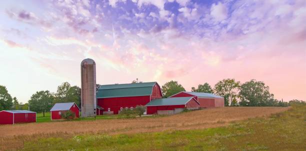 istock Red barn and silo at sunrise- Central Wisconsin 2190149784