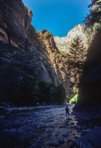 Zion NP - Hiker Silhouetted in the Narrows - 1978. Scanned from Kodachrome 25 slide.
