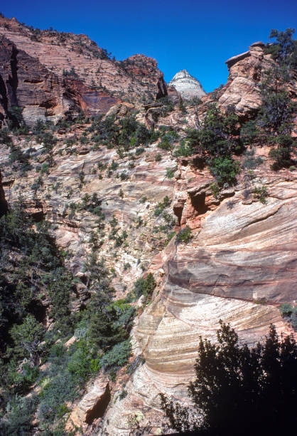 Zion NP - Layers of Rock - Vertical - 1978. Scanned from Kodachrome 25 slide.