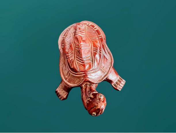 The picture shows a reddish brown wood turtle with a shell and four legs, two black eyes, covered with plaster. The wood is carved and used as a decorative material and decoration.