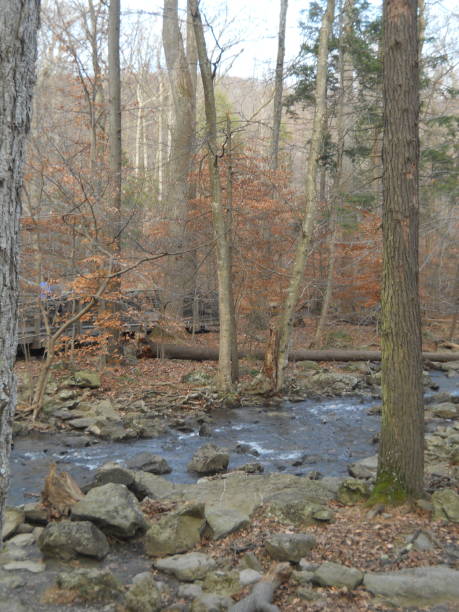 istock Forest Landscape Around Cunningham Falls State Park In Maryland. 2190162026