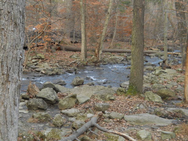 istock Forest Landscape Around Cunningham Falls State Park In Maryland. 2190162028