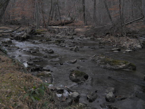istock Forest Landscape Around Cunningham Falls State Park In Maryland. 2190162057