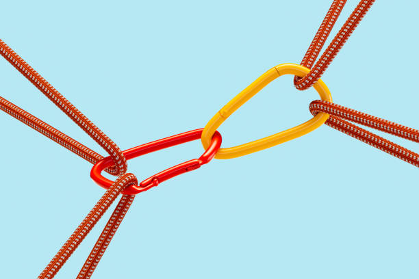 istock Carabiners connected by paracords 2190162109