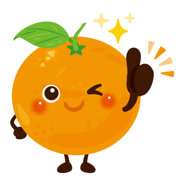 590+ Mikan Orange Stock Illustrations, Royalty-Free Vector