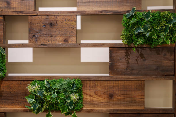 Stylish flower beds installed on the wall