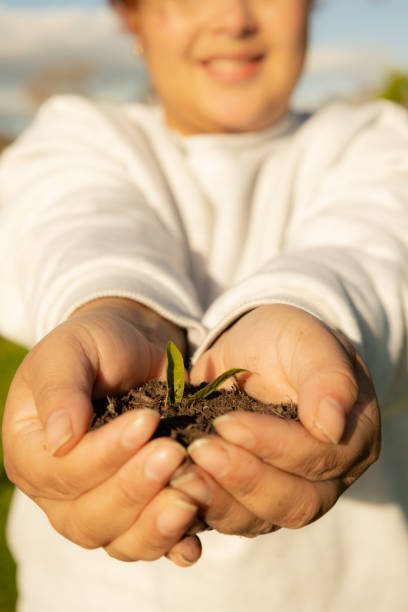 istock Female hands holding a small plant with soil 2190165584