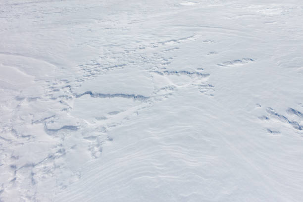 A snow covered field with a few footprints. The snow is white and the field is empty