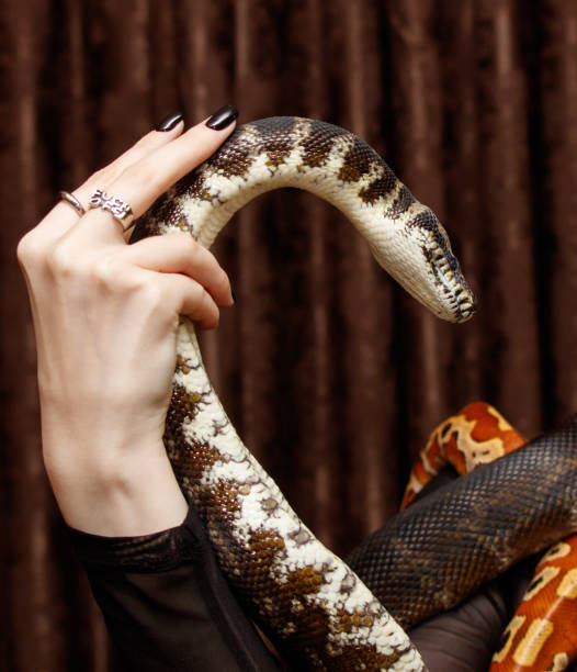 Young woman holding her pet snake outdoors.