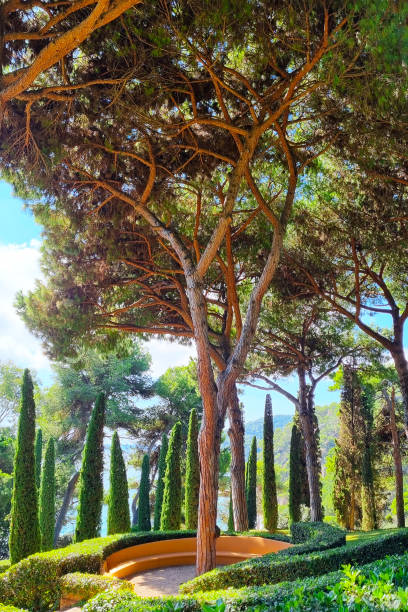 istock Mediterranean Garden with Tall Pine Trees and Scenic Landscaping 2190168920