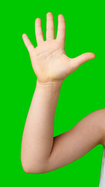 istock A child's hand raised in greeting against a bright green background 2190169490