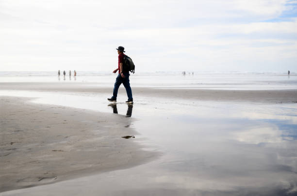 Man walking on Muriwai Beach. Unrecognizable people playing on the beach. Auckland.