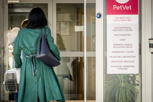 Woman entering pet hospital Rear view of mature woman entering a veterinary clinic, carrying a cat and a pet carrier, with a visible signboard listing the clinic’s services. walking into glass door stock pictures, royalty-free photos & images