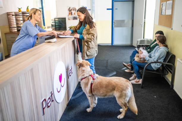 istock Pet Owners and Veterinary Staff Interacting at Reception Desk 2190173685