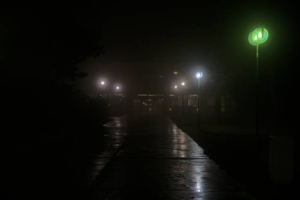 istock Foggy park pathway illuminated by green and white streetlights 2190174238