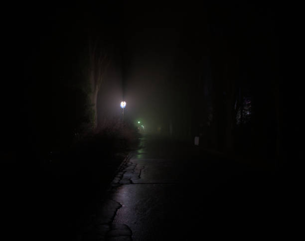 istock Foggy path illuminated by a lone street lamp at night 2190174298