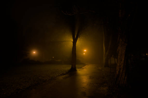 istock Foggy park path illuminated by streetlights at night 2190174360