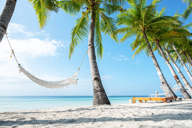 istock Empty hammock hanging between coconut palm trees on the tropical paradise beach 2190175950