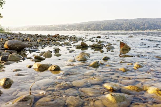 Pebble-strewn shoreline of a serene lake under a clear sky with distant hills, captured in soft natural light.