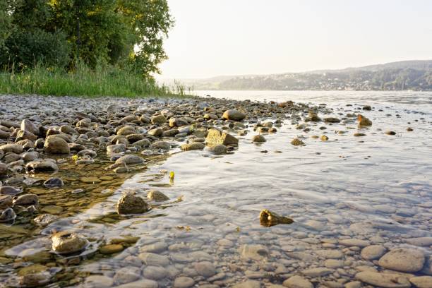 Serene riverbank with pebbles and lush greenery under a soft, golden sunset near a distant town.