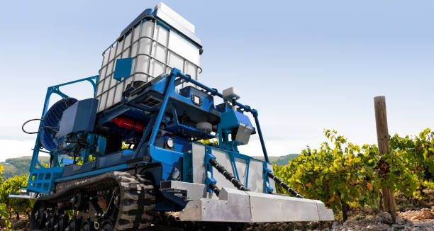 Autonomous robot sprayer works in a vineyard. Smart farming concept.