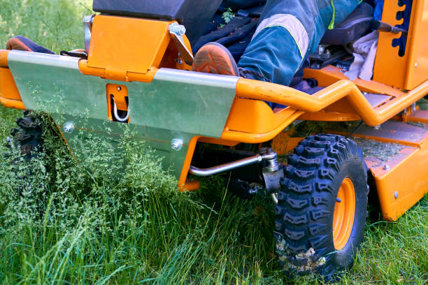 istock Professional grass cutting on lawns with a lawn mower tractor 2190188339