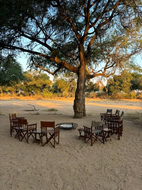 Sunset Safari Along Firepit and Riverbank