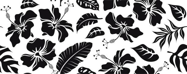illustrazioni stock, clip art, cartoni animati e icone di tendenza di modello di ibisco. - fiore tropicale