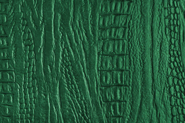 Crocodile genuine leather structure texture macro, green colored leatherette surface with metallic, pearlescent effect. Reptile skin close up, macro background, wallpaper, backdrop