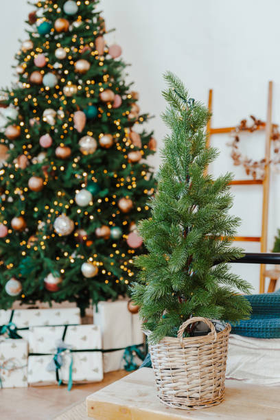 istock Small spruce tree in wicker basket in decorated interior on Christmas tree with ornaments background 2190193472