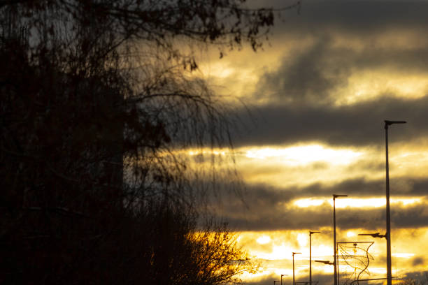 A beautiful sunset featuring tall trees in the foreground, while bright street lights shine in the background, creating a stunning scene