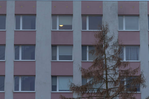 There is a large structure featuring numerous windows that is accompanied by a tree conveniently located in front of the building