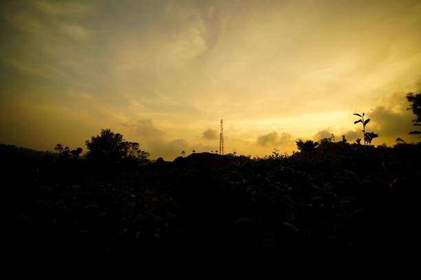 silhouette of Telecommunication tower Antenna at sunset on a hill