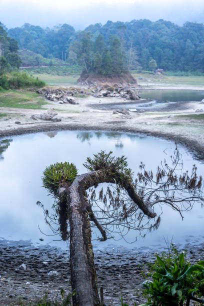 istock Situ Patenggang Lake at Ciwidey, West Java, Indonesia 2190199897