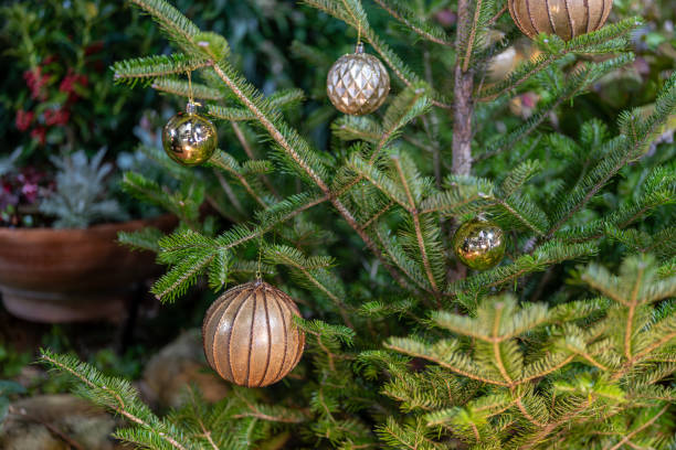 istock Christmas tree decorated for Christmas 2190199939