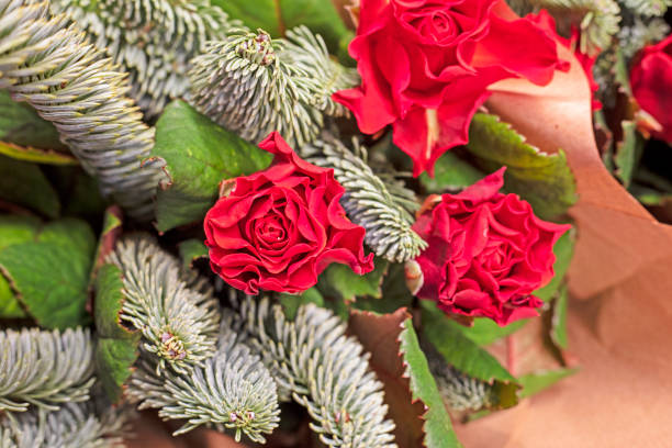 bouquet of red roses with branches of Christmas tree
