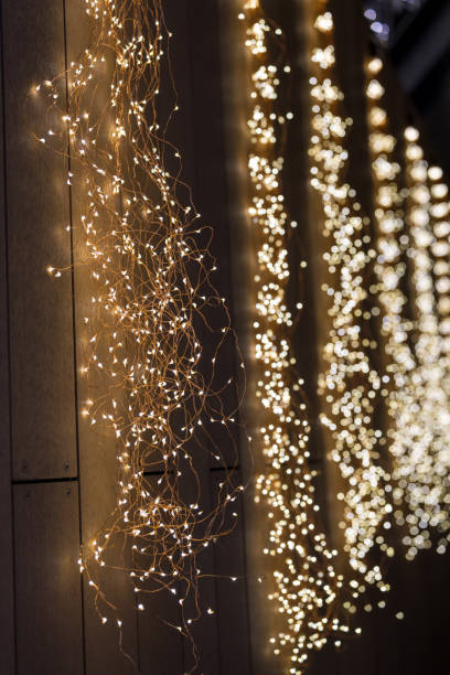 istock Christmas lights attached to the fence 2190202619