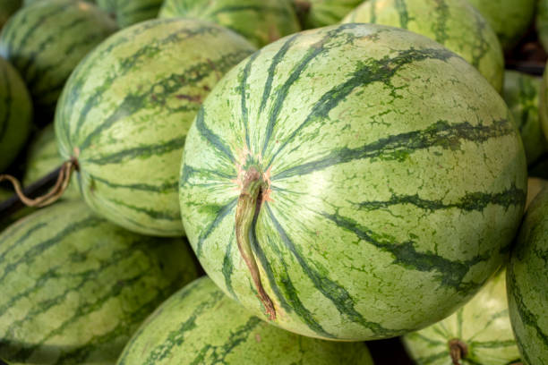 istock Fresh watermelons (Citrullus lanatus) on shelves in  supermarket 2190206582