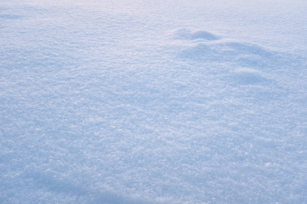 Snow background, top view. Snowy texture. Winter backdrop for publication, poster, screensaver, wallpaper, postcard, banner, cover, post. High quality photography