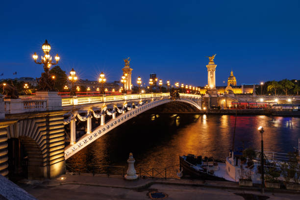 istock Illuminated bridge at night, clear sky in Paris 2190209283