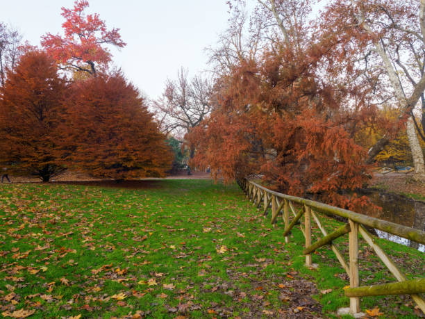 istock Autumn at Parco Sempione, Milan 2190211183