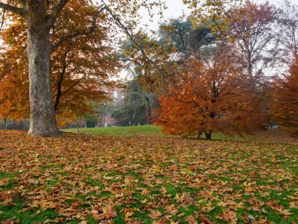 istock Autumn at Parco Sempione, Milan 2190211691