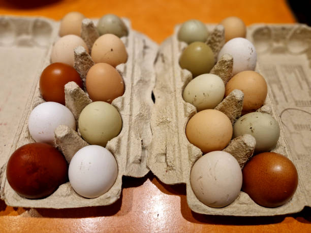 istock eggs from several types of hens. various shades from brown to white. even greenish eggs in a paper bag from the farm 2190212668