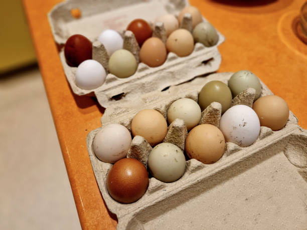 istock eggs from several types of hens. various shades from brown to white. even greenish eggs in a paper bag from the farm 2190212669