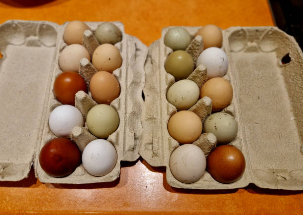 istock eggs from several types of hens. various shades from brown to white. even greenish eggs in a paper bag from the farm 2190212670