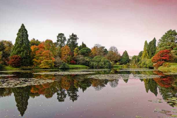 istock Autumn Leaves at Sheffield Park 2190215905