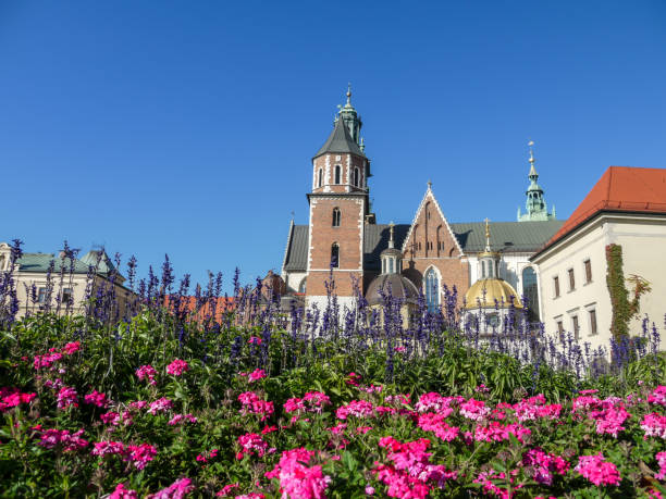 istock Wawel Cathedral in Krakow 2190216079